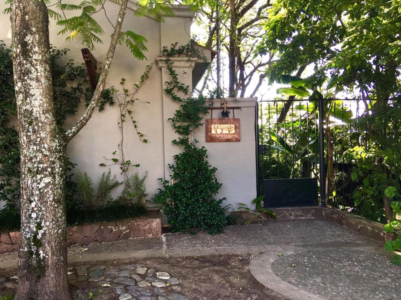 Los Tarcos Guest House San Salvador de Jujuy Extérieur photo